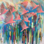 Pink Galahs - SOLD