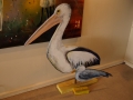 Pelican and Seagull