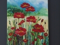 Another View of the Poppies.