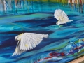 Wetlands