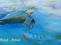 Swimming Turtle
